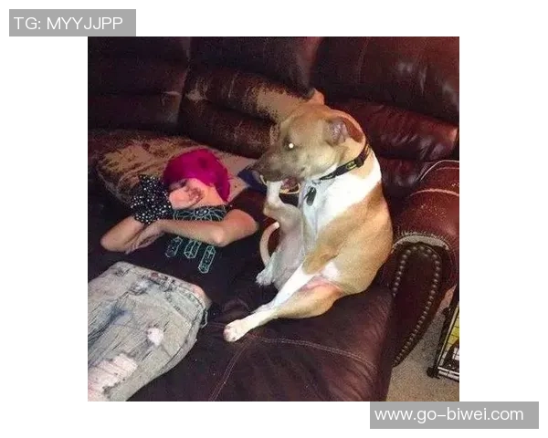 足球史上那些让人捧腹大笑的搞笑瞬间视频合集